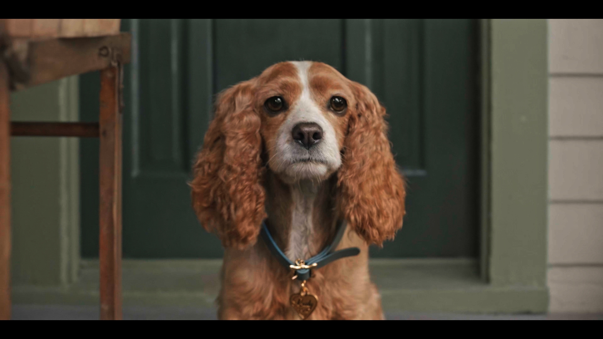 Still 2025 11 01 162053 1.1.4